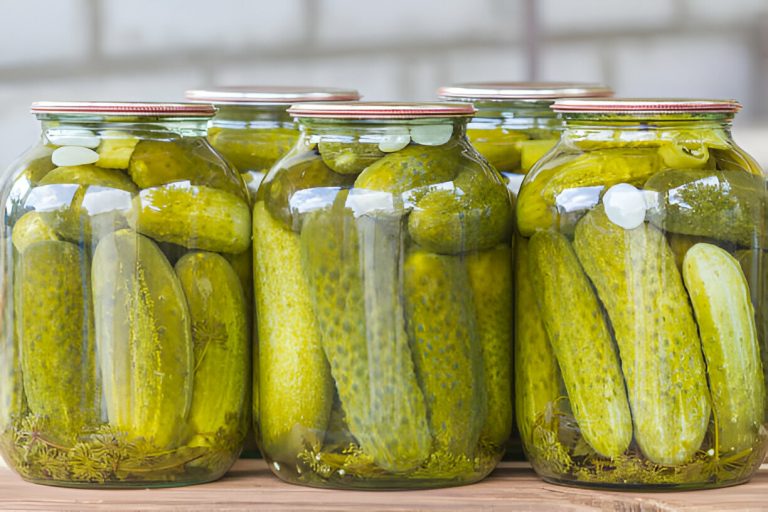 Dill Pickles Recipe